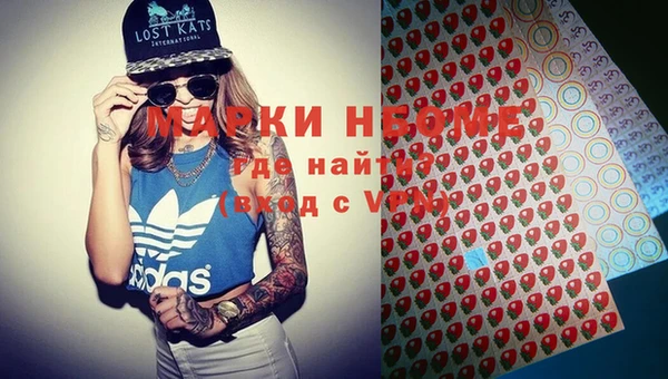 прущие грибы Балахна