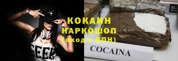 шишки Аркадак
