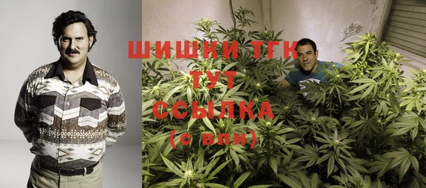 шишки Аркадак