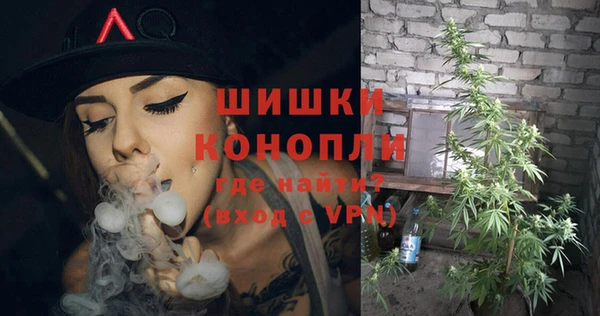 шишки Аркадак