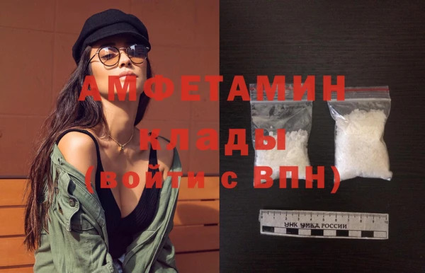 прущие грибы Балахна