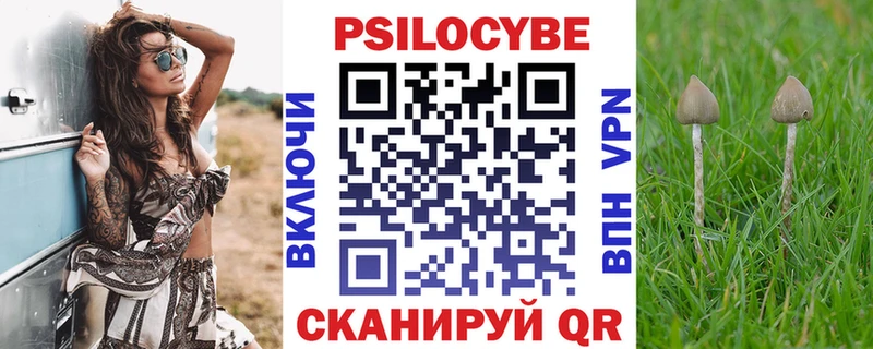 Купить закладки  Кимовск  Галлюциногенные грибы мухоморы 